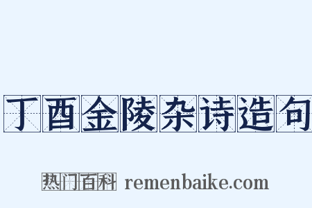 丁酉金陵杂诗造句是什么意思的图片